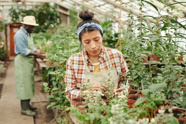 Solutions écologiques pour un contrôle efficace des nuisibles