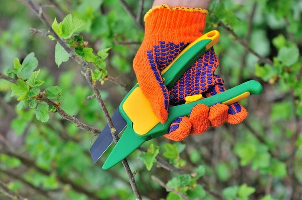 Réduire les coûts d'entretien jardin : astuces et aides disponibles